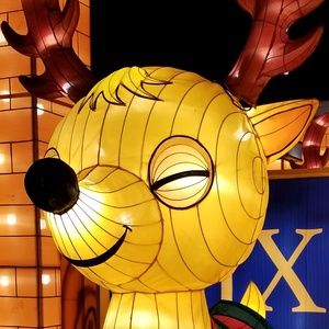 Meet your Posher, Krista